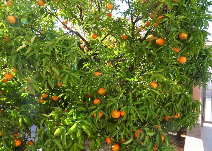 Casa Mandarina 度假居 *